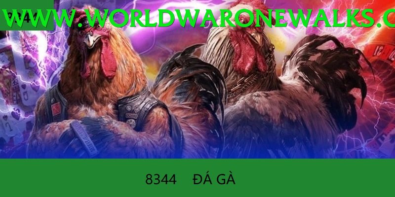 Trường Đấu Đá Gà Chuyên Nghiệp